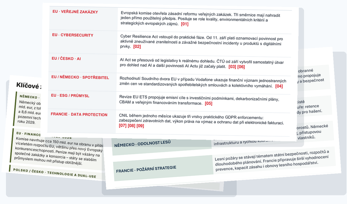 Ukázky anonymizovaných EU strategických reportů pro management